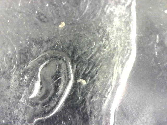 S20160114_003.jpg