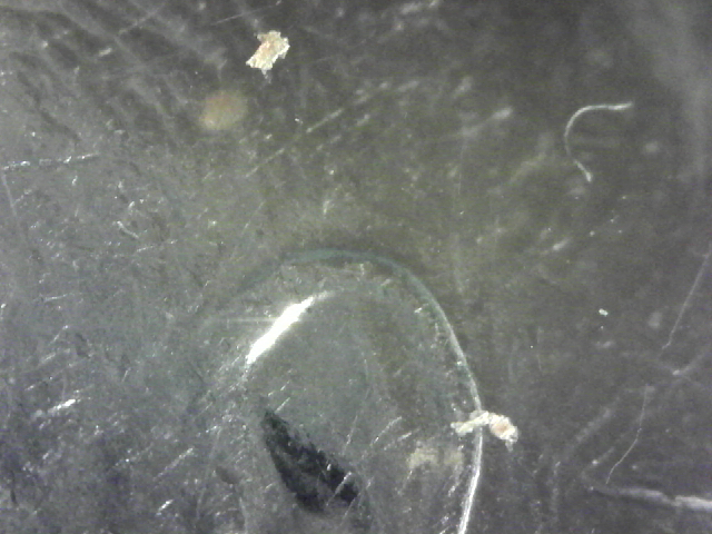 S20160114_005.jpg