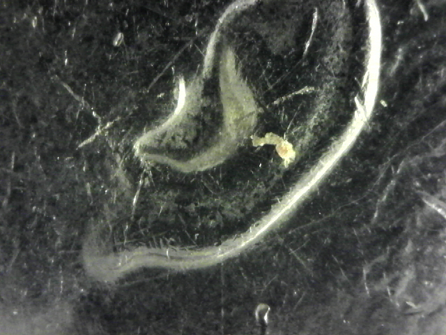 S20160114_007.jpg