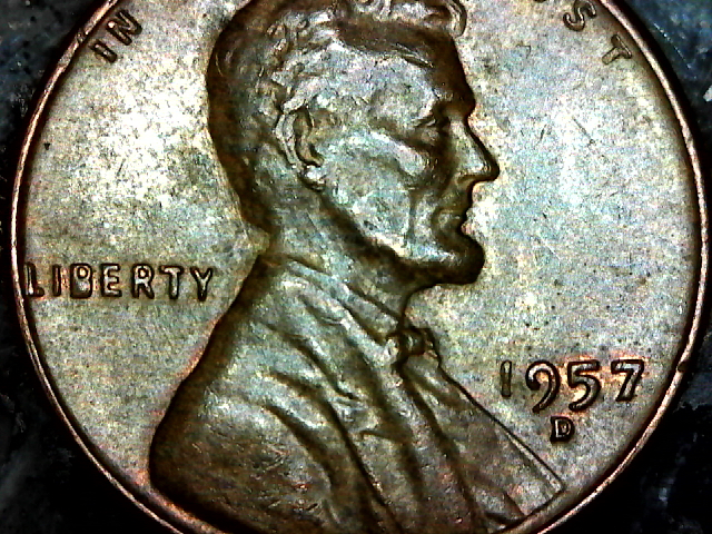 S20160124_006.jpg