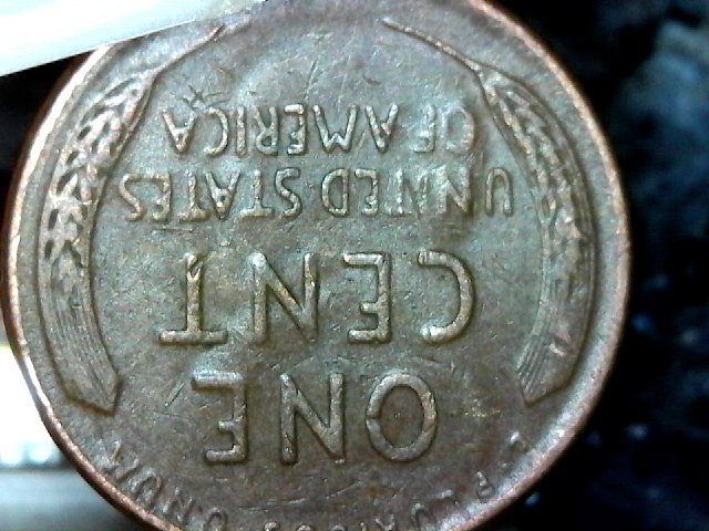 S20160130_003-ccfopt.jpg