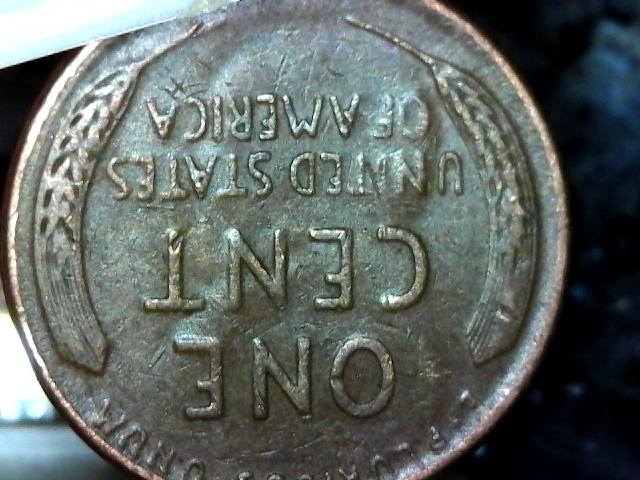S20160130_003.jpg