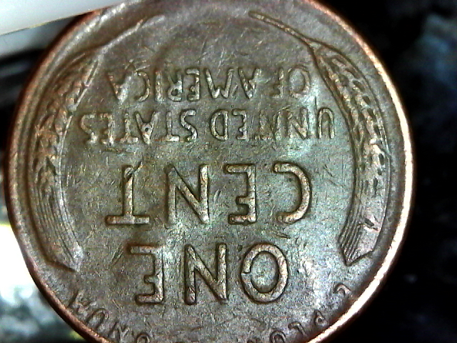 S20160130_004.jpg