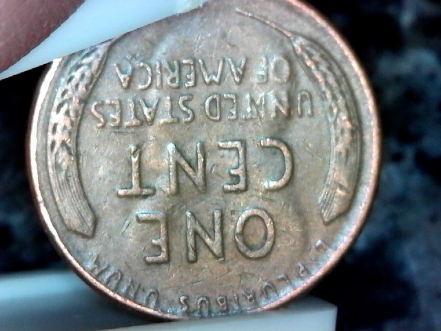 S20160130_009-ccfopt.jpg