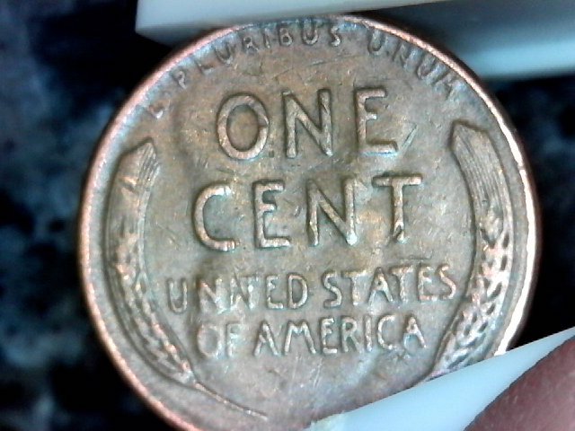 S20160130_009-ccfopt.jpg