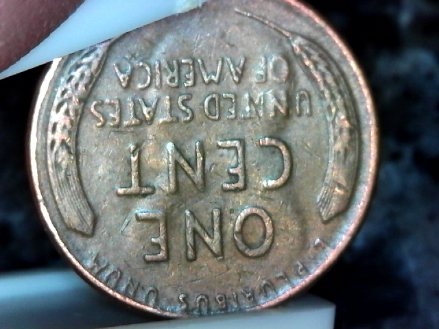 S20160130_009.jpg