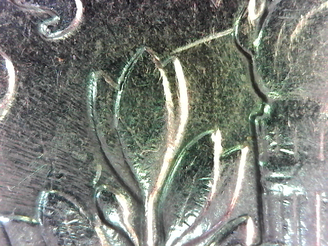 S20160131_006.jpg