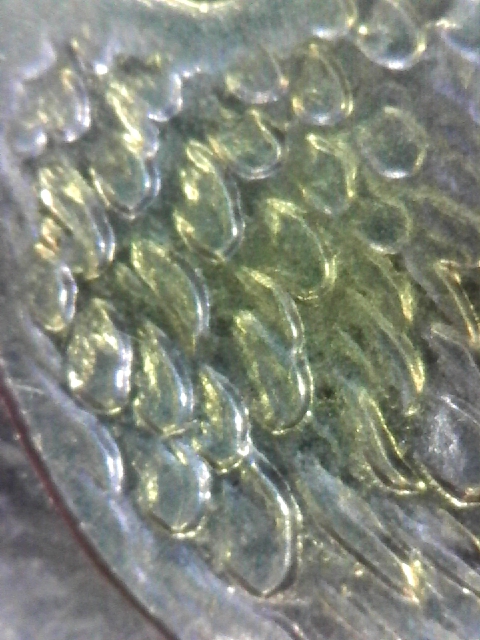 S20160224_0099.jpg