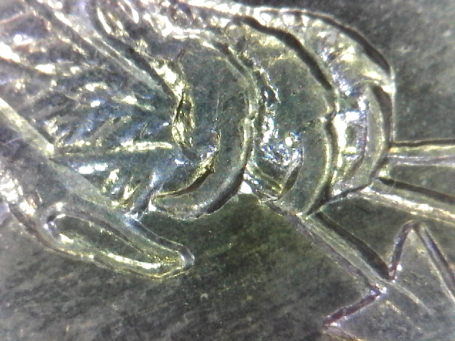 S20160224_0113.jpg
