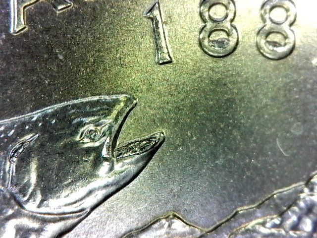 S20160228_008-ccfopt 10.00.59 AM.jpg