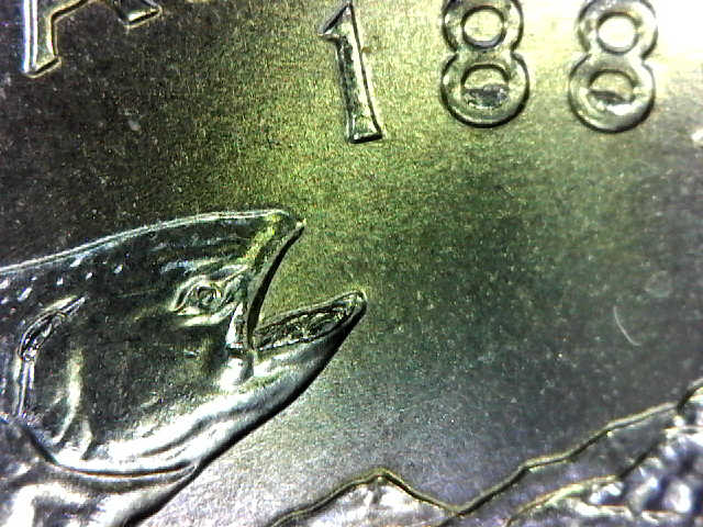 S20160228_008.jpg