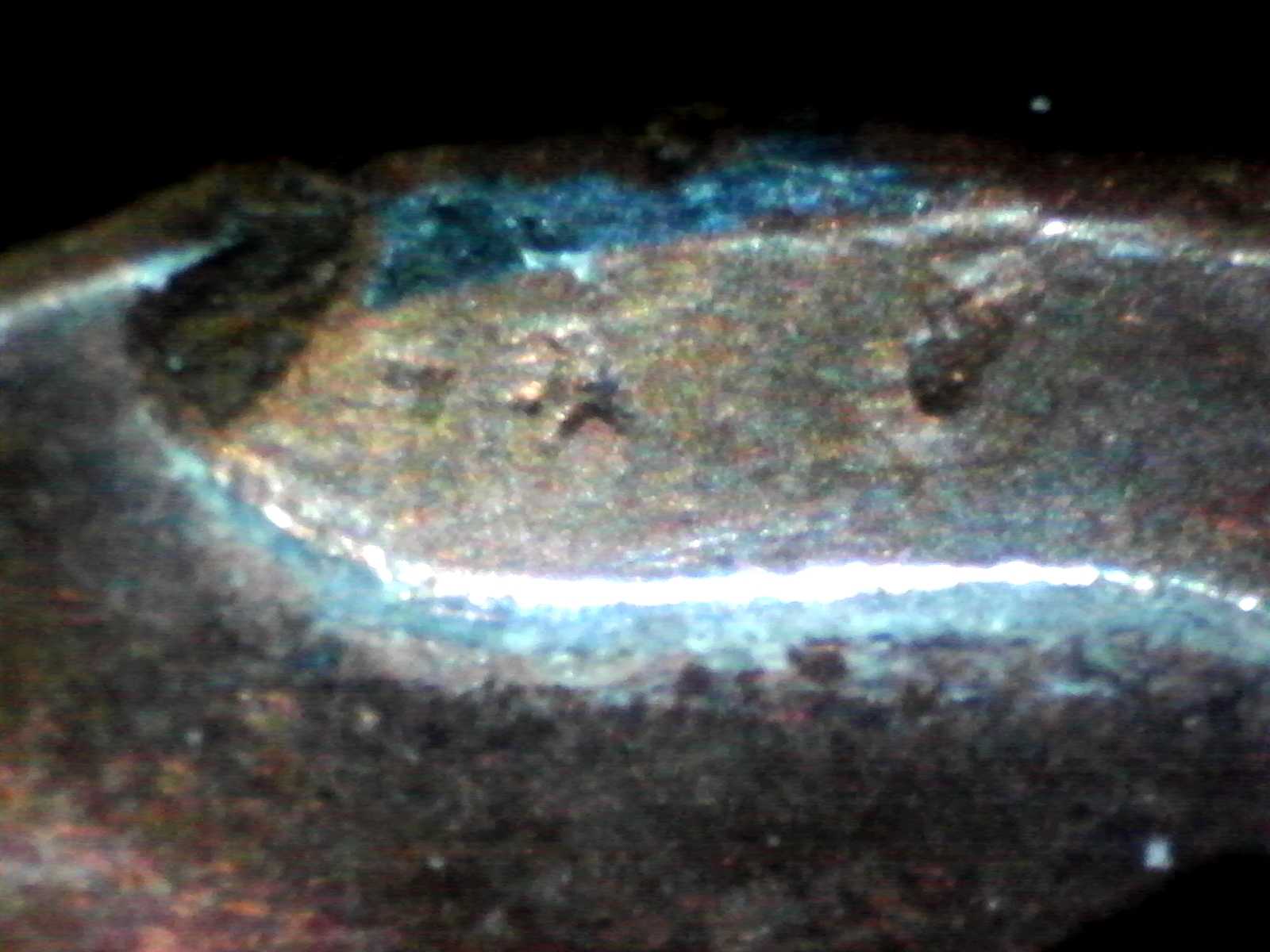 S20160806_0041.jpg