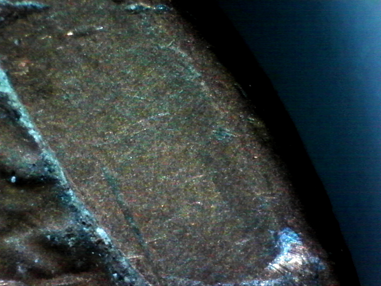 S20160806_0045.jpg