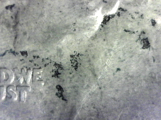 S20160910_006.jpg