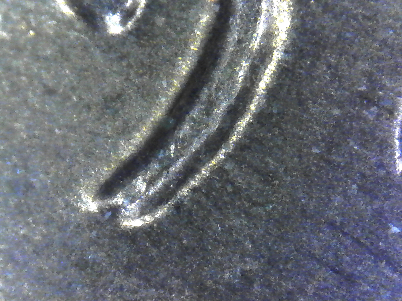 S20170303_0003.jpg