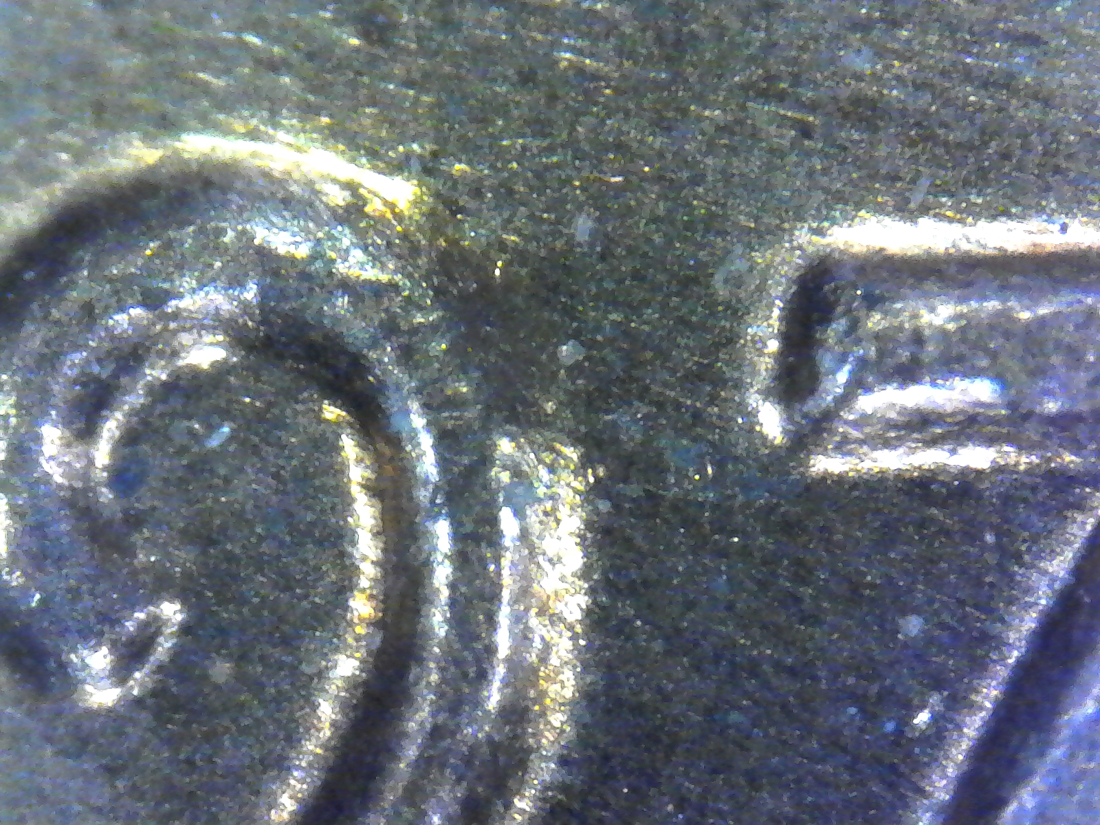 S20170303_0004.jpg