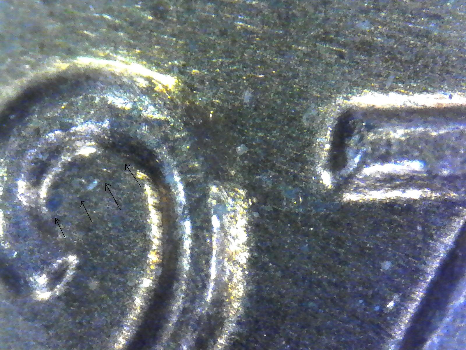 S20170303_0004.jpg