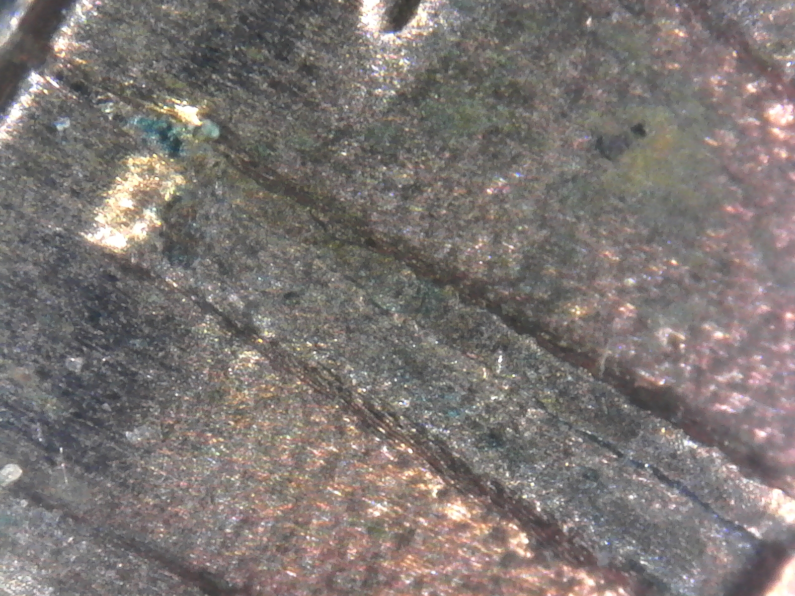 S20170501_0002.jpg