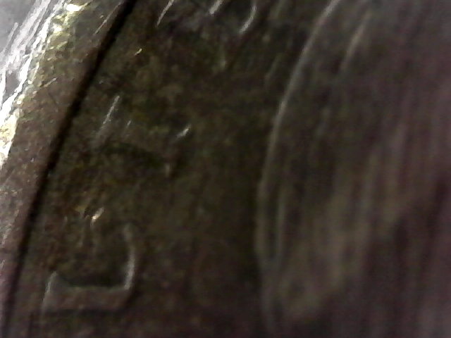 S20170507_0010.jpg