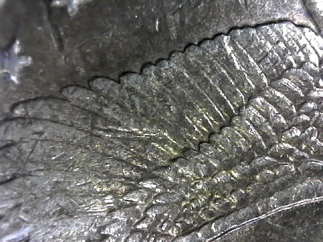 S20170507_0020.jpg