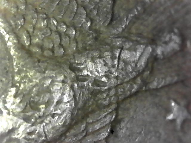 S20170507_0056.jpg