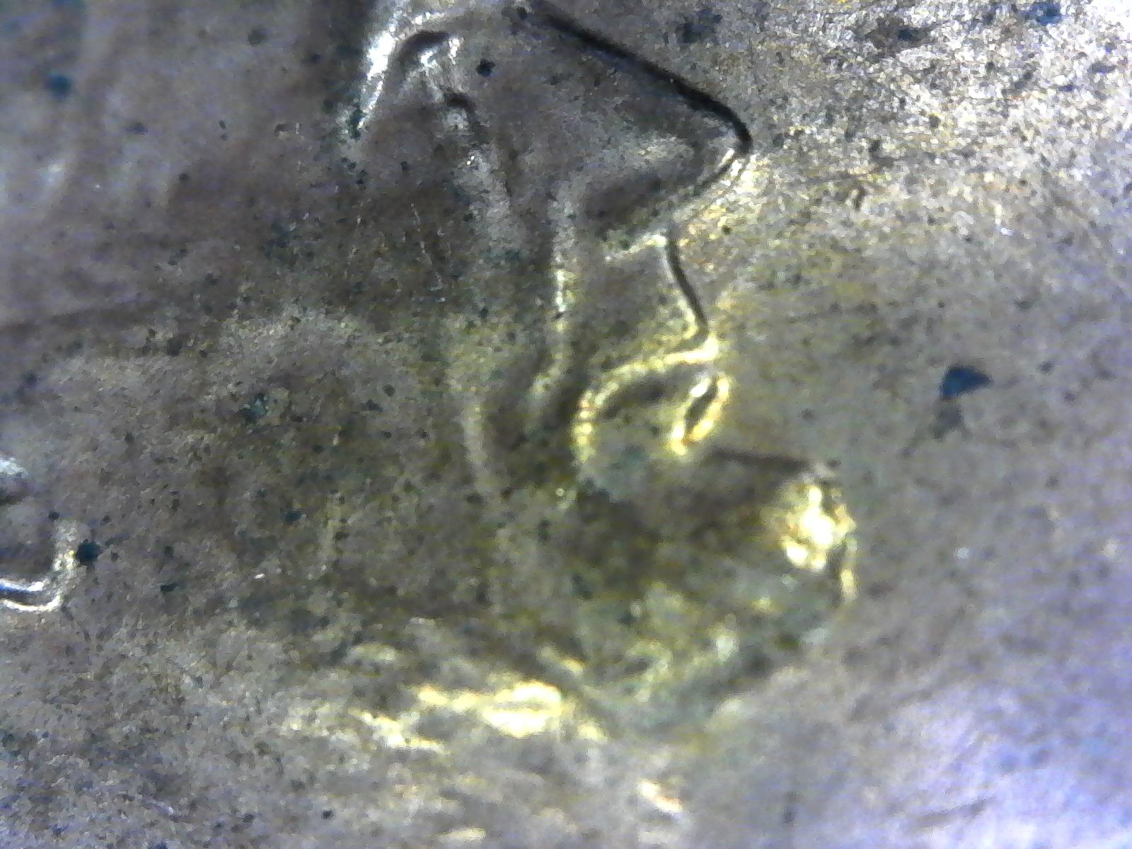S20170509_0023.jpg