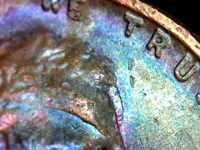 S20171115_008-ccfopt.jpg