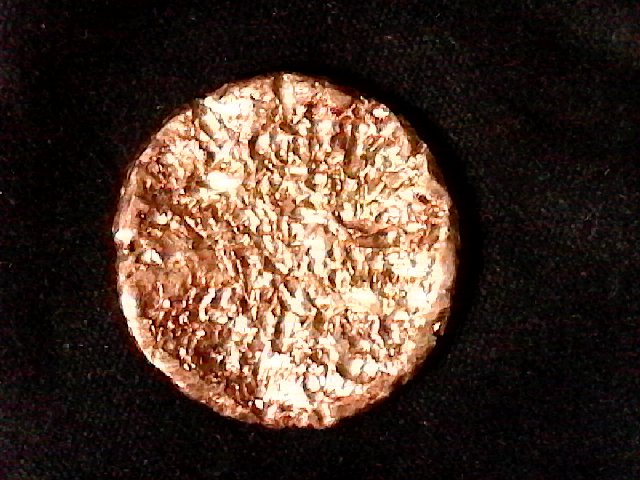S20171118_019-ccfopt.jpg
