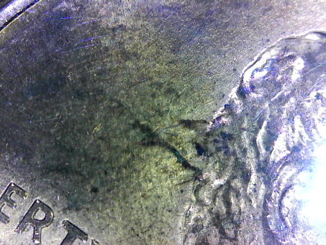 S20171119_003.jpg