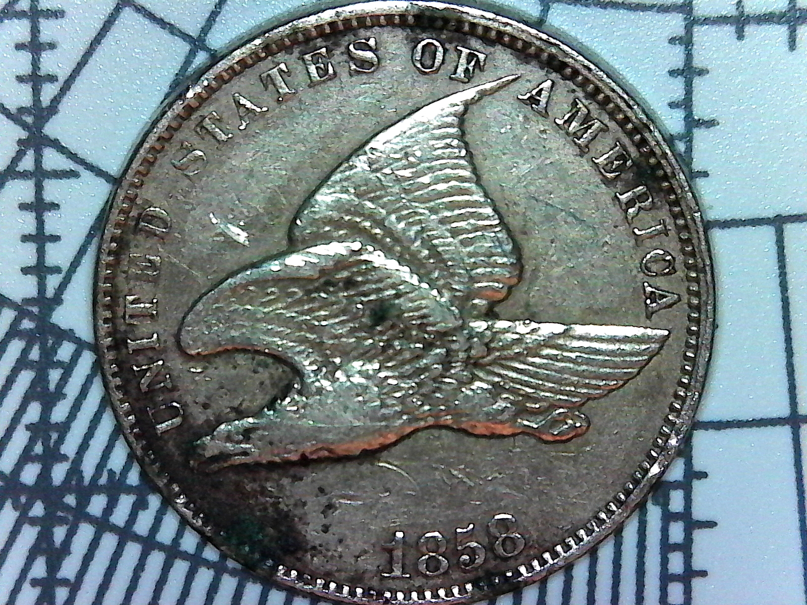 S20171130_0002.jpg