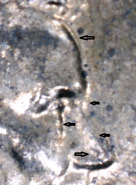 S20171216_0005.jpg