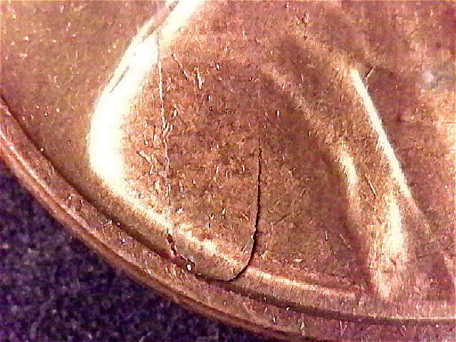 S20180102_006-ccfopt.jpg