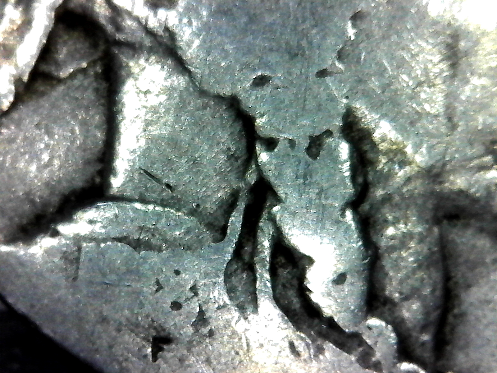 S20180124_0004.jpg