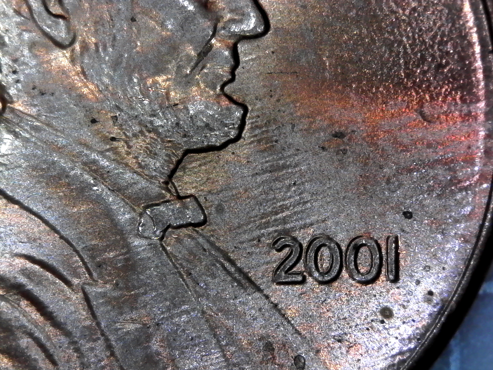 S20180211_0009.jpg