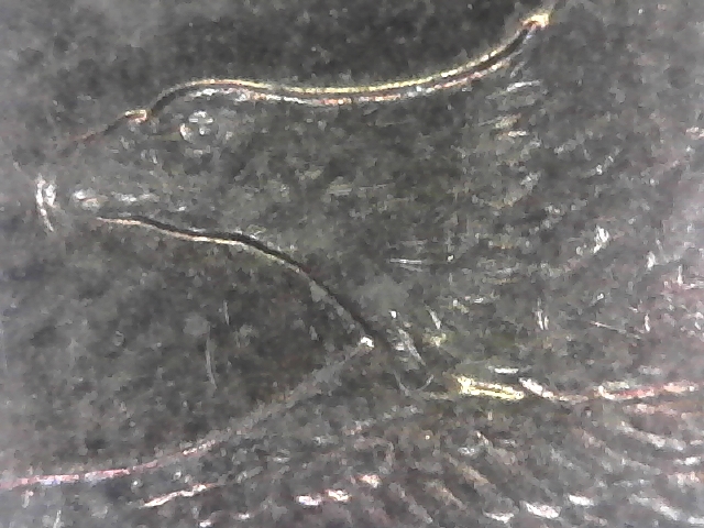 S20180323_0002.jpg