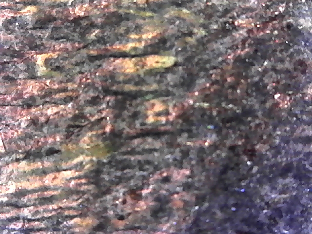 S20180328_0018.jpg