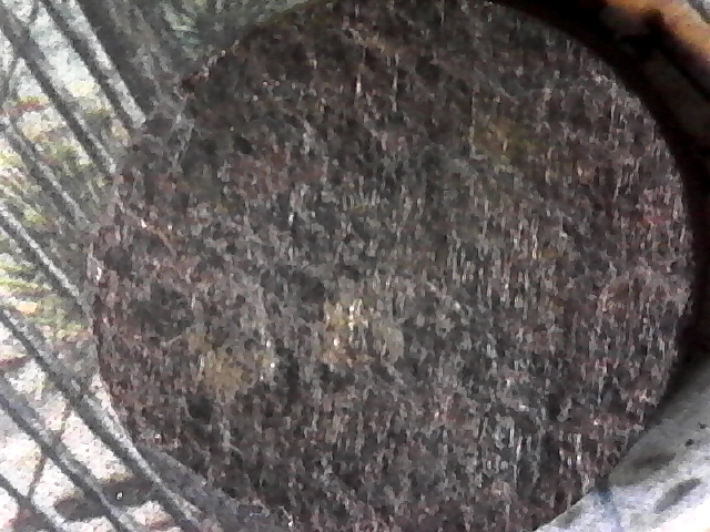 S20180328_0023.jpg
