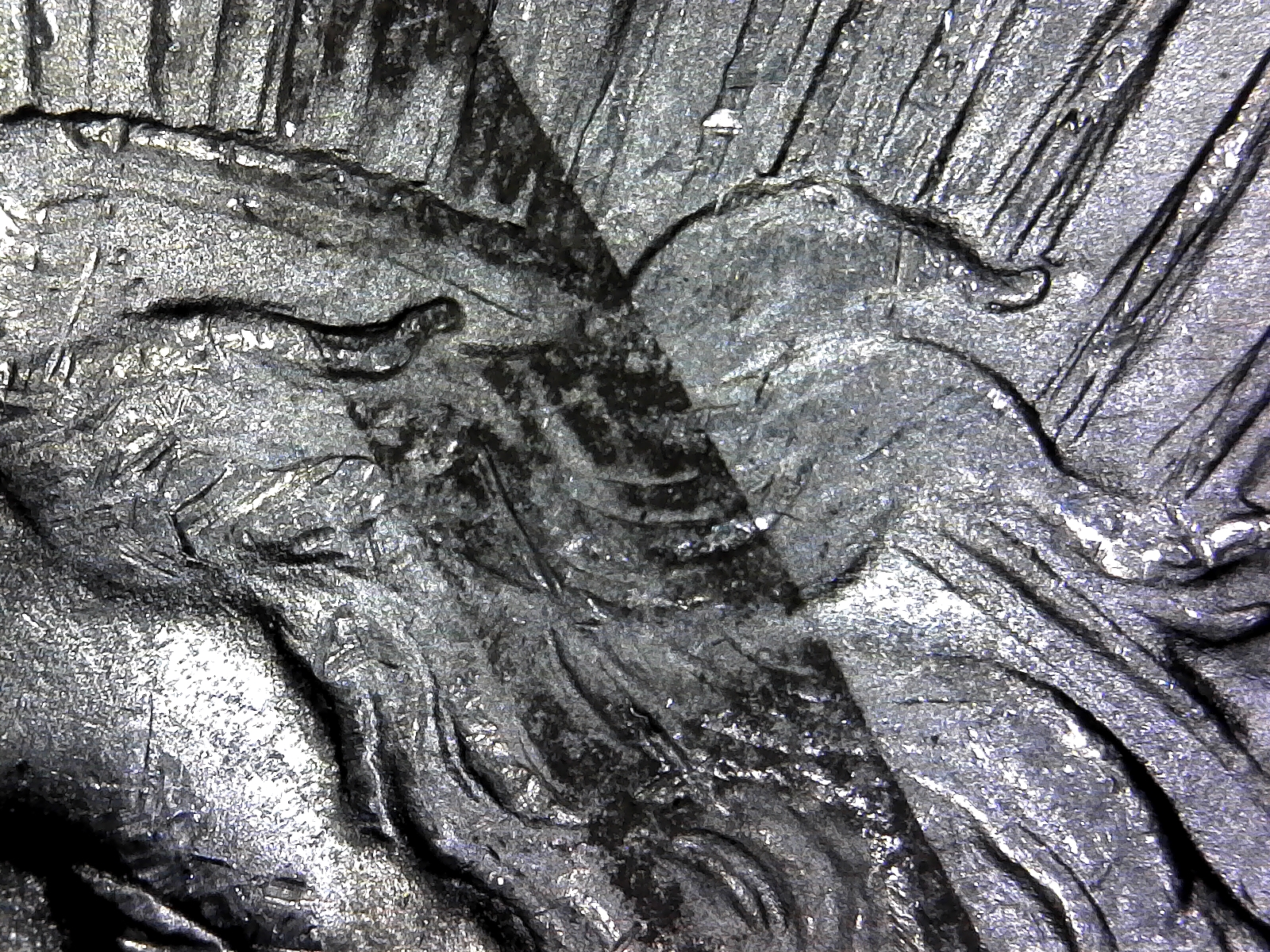 S20180503_0002.jpg