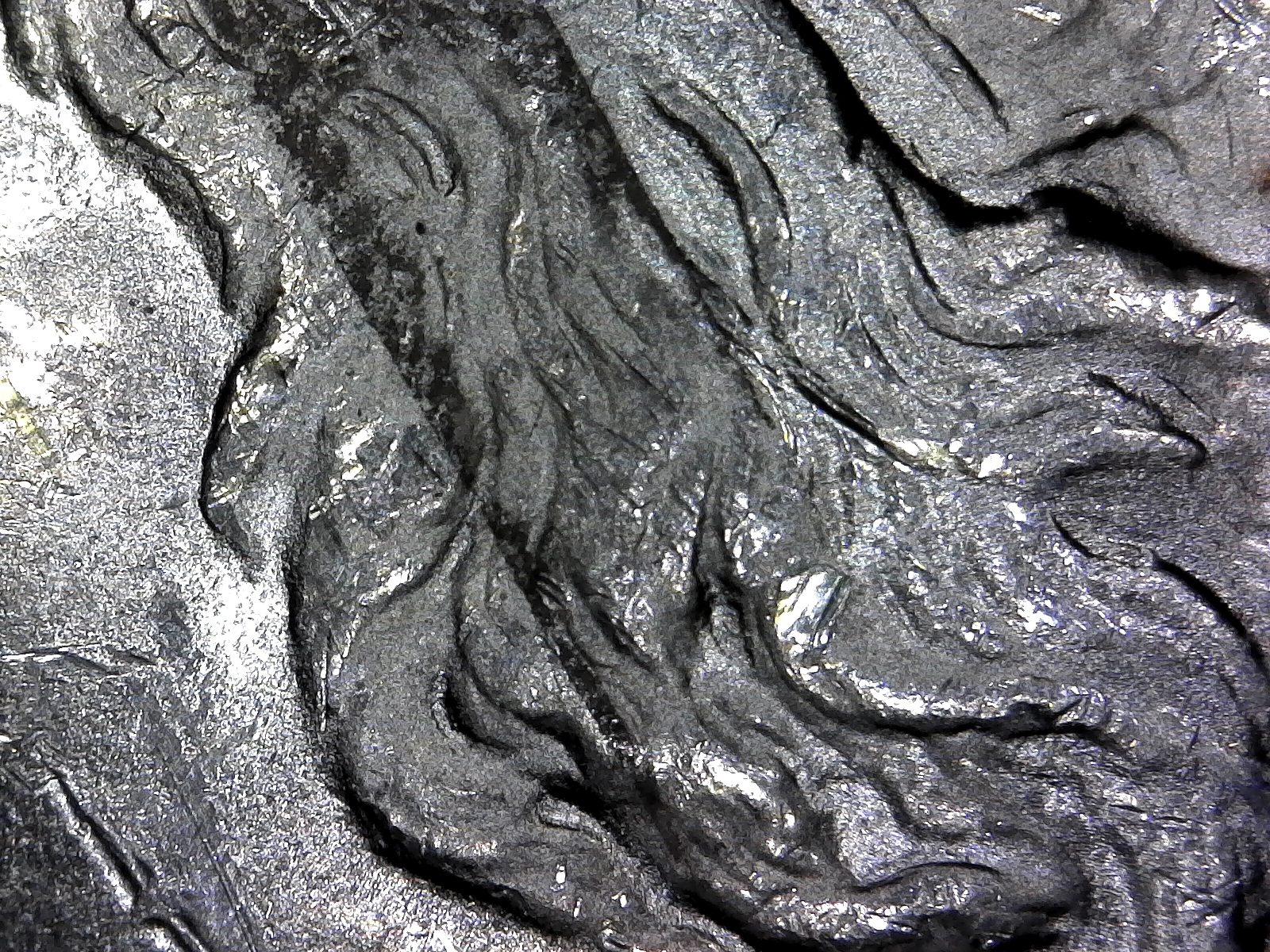 S20180503_0003.jpg