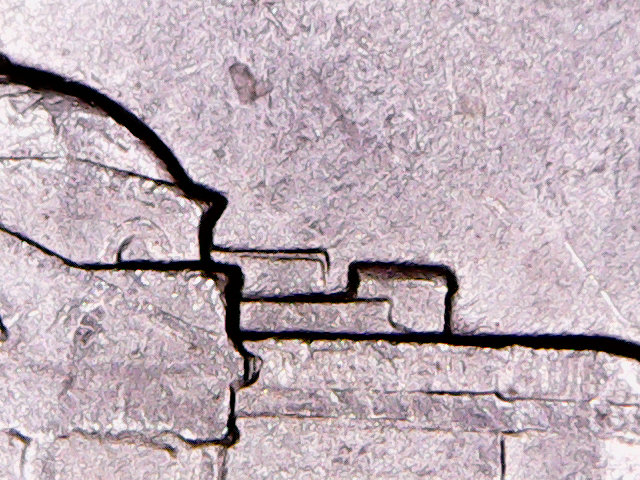 S20180620_001.jpg