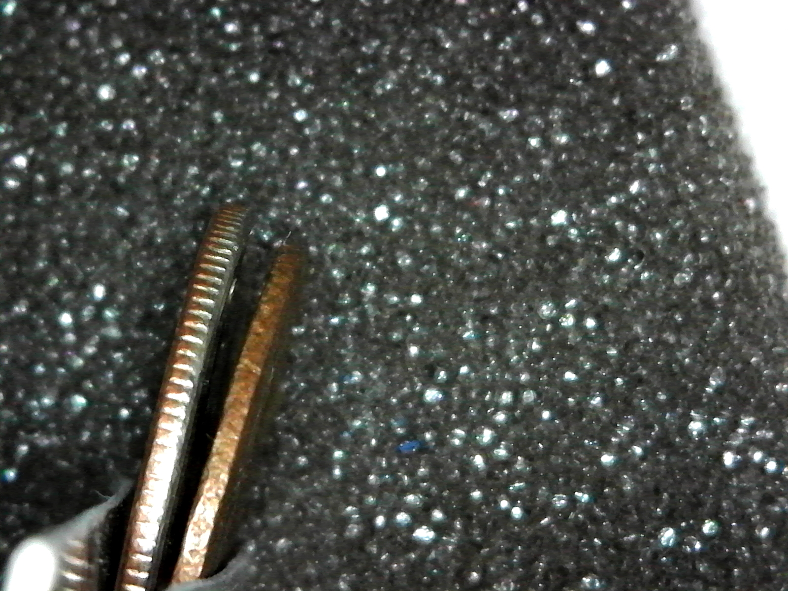 S20180905_0004.jpg