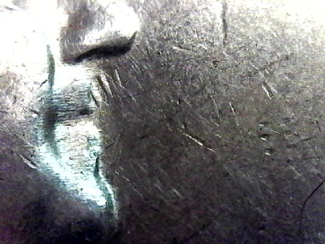 S20181005_008-ccfopt.jpg