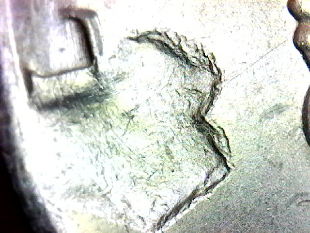 S20181119_005-ccfopt.jpg