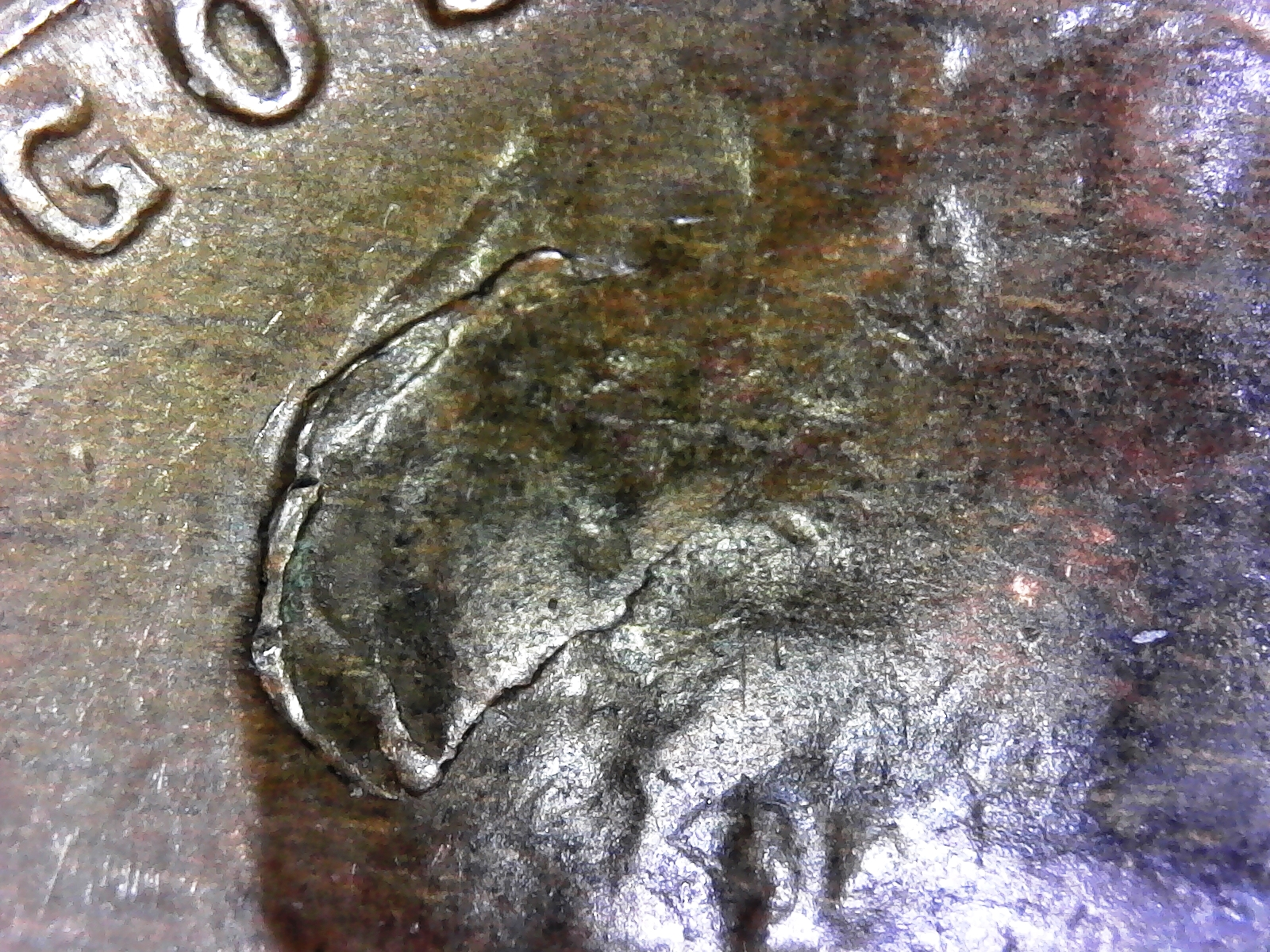 S20181202_0001.jpg