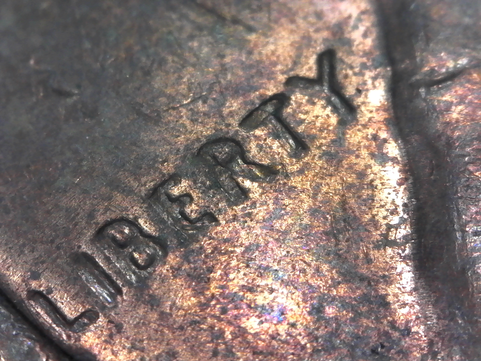 S20181210_0012.jpg