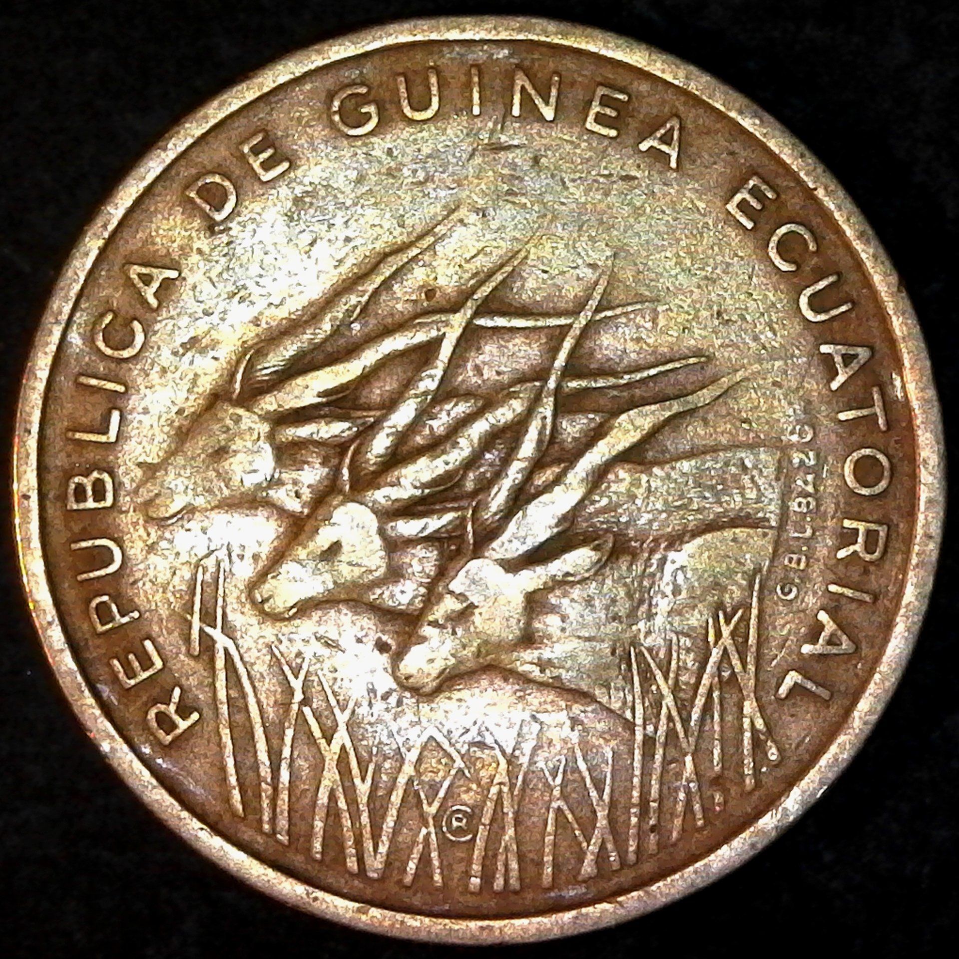 S20190128_0009.jpg