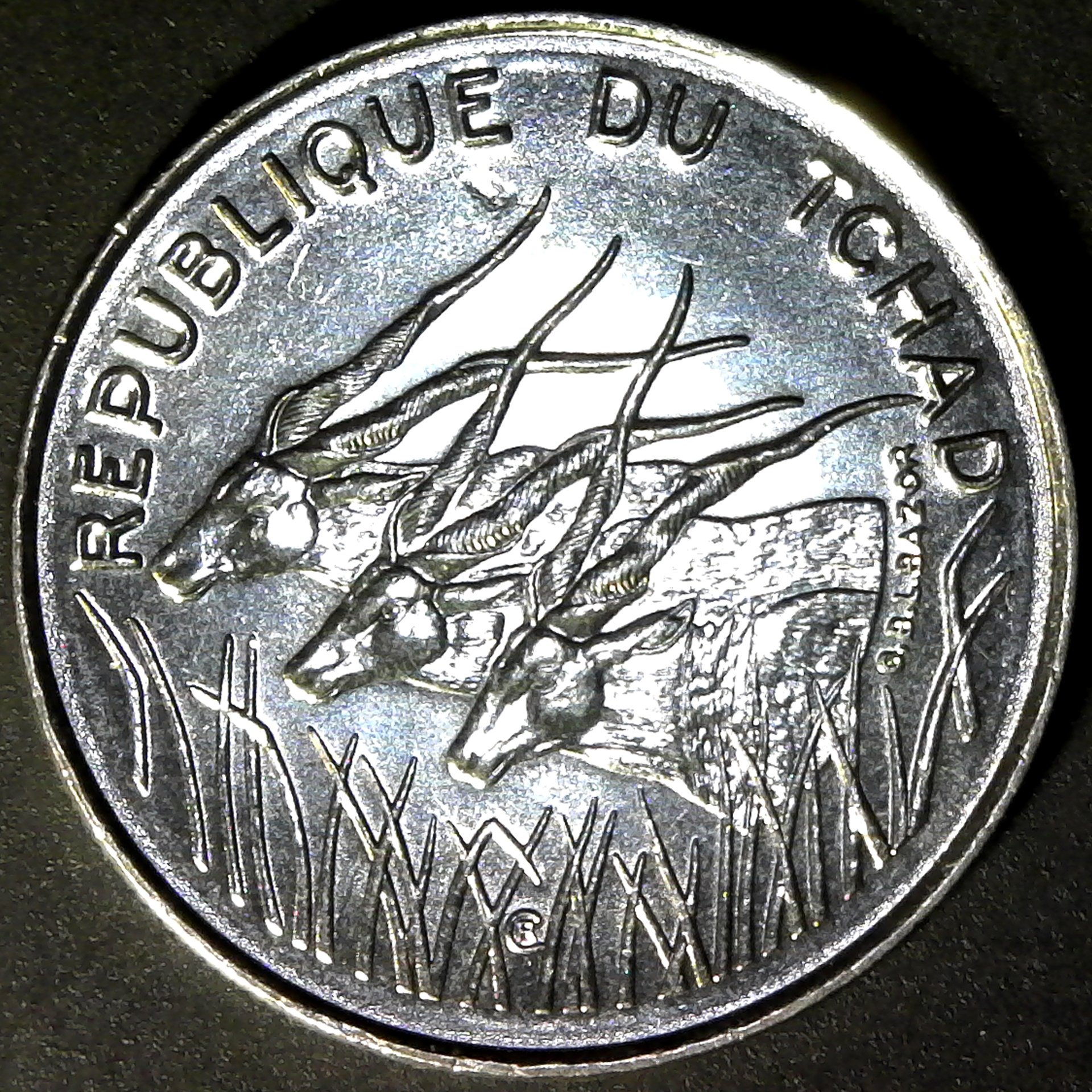 S20190130_0011.jpg
