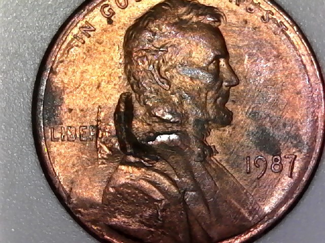 S20190205_0003.jpg