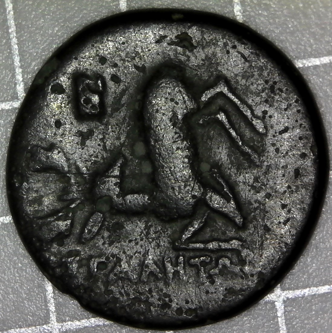 S20190215_0002.jpg