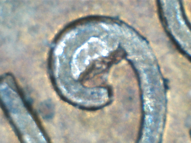 S20190220_0001.jpg